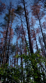 photo/bdabb0f3-5490-4114-b8bf-eeb80a162aab-3