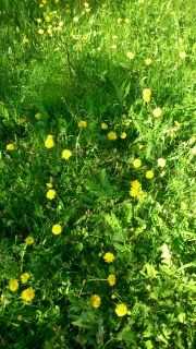 photo/bfa7c2ce-6927-4920-9a4d-9ca96345e806-3