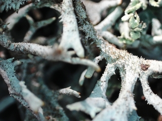 photo/bfdd9639-665e-4a0a-a242-2e559b7569d6-3