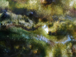 photo/bfe6b4c8-a436-4313-a839-609ab8c0e235-3