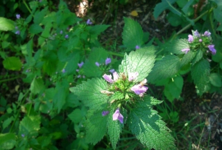 photo/c204b400-1510-4b97-ab17-70da9fad8210-3