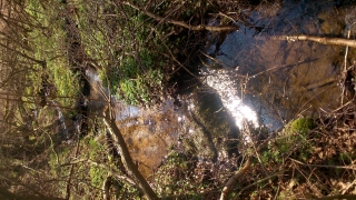 photo/c42e6dbb-fed1-4f2b-af4d-ede1b2a4572b-3
