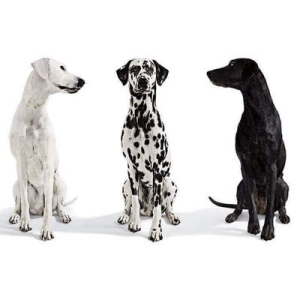 JBrickelt963 ✊(φ)🚩