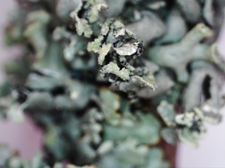 photo/c67720d5-cffb-4d6d-92fb-63793ff5a104-3