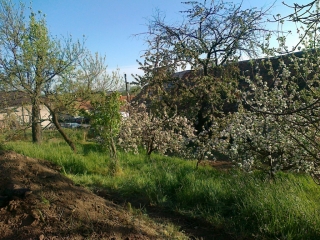 photo/cb01a791-1e2d-4c4f-83b8-8b2bc03bf617-3