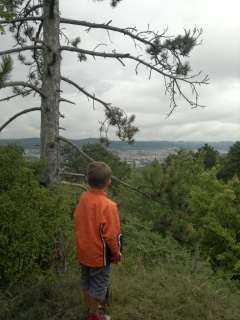 photo/cb0b408f-15f3-42f6-a2eb-c5916ed6b92d-3