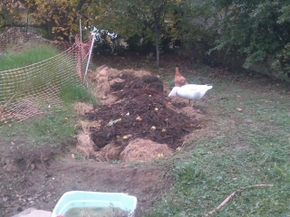 photo/d12b4e2c-7106-4bf5-8d59-a32c13d2771e-3