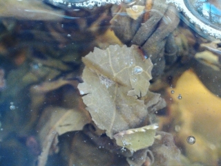 photo/d2ce751a-7266-44c6-a824-529d3d8091b3-3