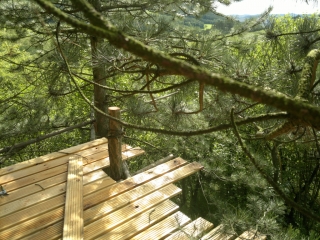 photo/d377f1e3-8e11-4a01-9a8a-e7f78efb5741-3