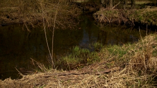 photo/d4546252-b4dc-4864-9640-7da97a0141f8-3