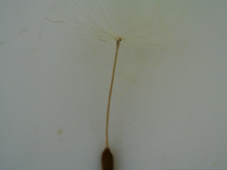 photo/dae22208-1181-4ed6-9afd-0a65e849389d-3