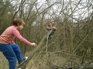 photo/db17e305-f895-4238-a0ad-f329011b1ba5-3