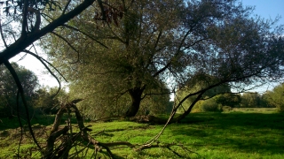 2019-09