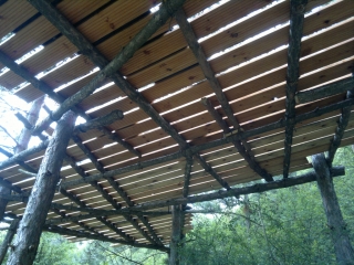 photo/db541116-e0fc-4393-87f7-d747d1a0070c-3