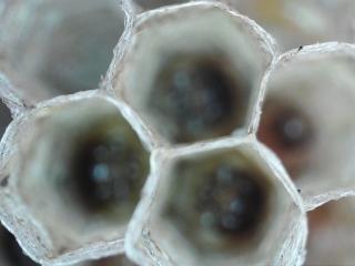 photo/dc39e9e4-5afc-43dd-8cc0-3730f77221df-3