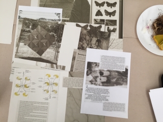 photo/dcd6e66e-b162-4665-b450-a2720371e8da-3