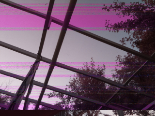 photo/dda70aa7-40f8-468a-bdaf-354ba7c488ff-3