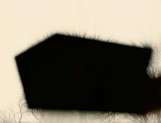 photo/e002e1ad-c8b4-4239-9304-fc926680c7ba-3