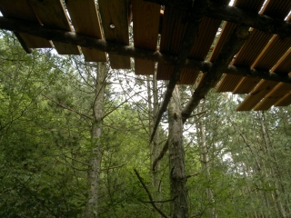 photo/e06c8876-6fa5-4de4-9ed4-7aa35fd2329e-3