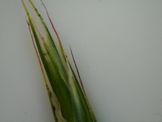 photo/e1c86c52-5c15-4f98-9cc6-c86643fbffec-3