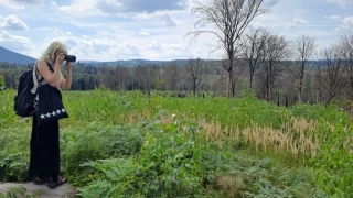 20240809_125422.jpg