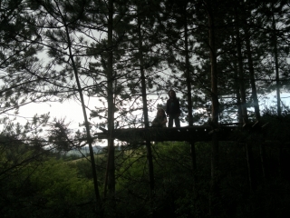 photo/f282b50a-03f8-41b9-91f8-2bbd7185d052-3