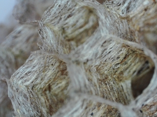 photo/f28931f6-2e33-4321-b946-1479e51f2efc-3