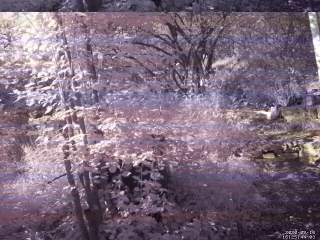 photo/f2c9d97d-2f85-4e83-9265-77480761ae2a-3