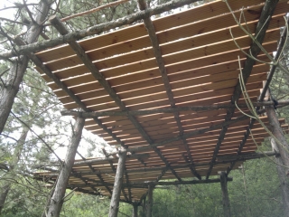 photo/f447d2d1-2a96-4104-8600-294546912d79-3