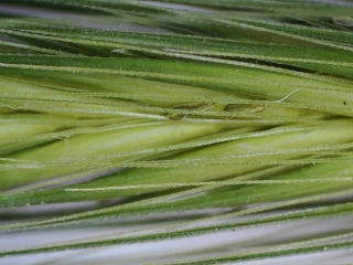 photo/f53c0f60-f2c7-44a9-9515-1fb59ad1e43e-3