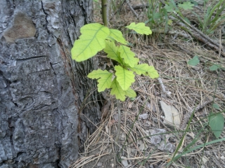 photo/f6d006cb-5249-4a02-b61f-9131984076bc-3