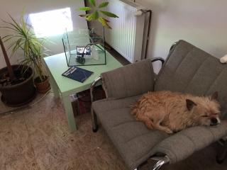 photo/f7e38f1e-8340-442f-8445-af0aaea9517d-3