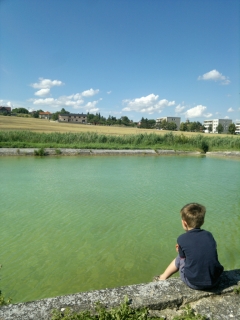 photo/f8dbc188-7d41-4953-a2c7-9f40baa5125e-3