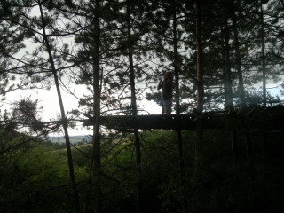 photo/f9641162-43b0-4647-b74e-97ca23bfdc75-3