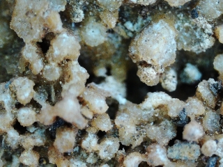 photo/f9bb3361-f51b-43e7-ab0c-5ad5fa7655c4-3