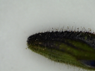 photo/fd683ef4-7877-473e-aeda-56822fe3f4ac-3