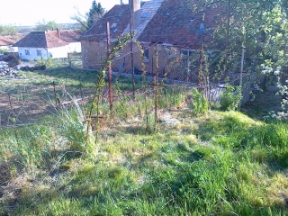 photo/fe68cee1-4663-48be-ad94-285522480409-3