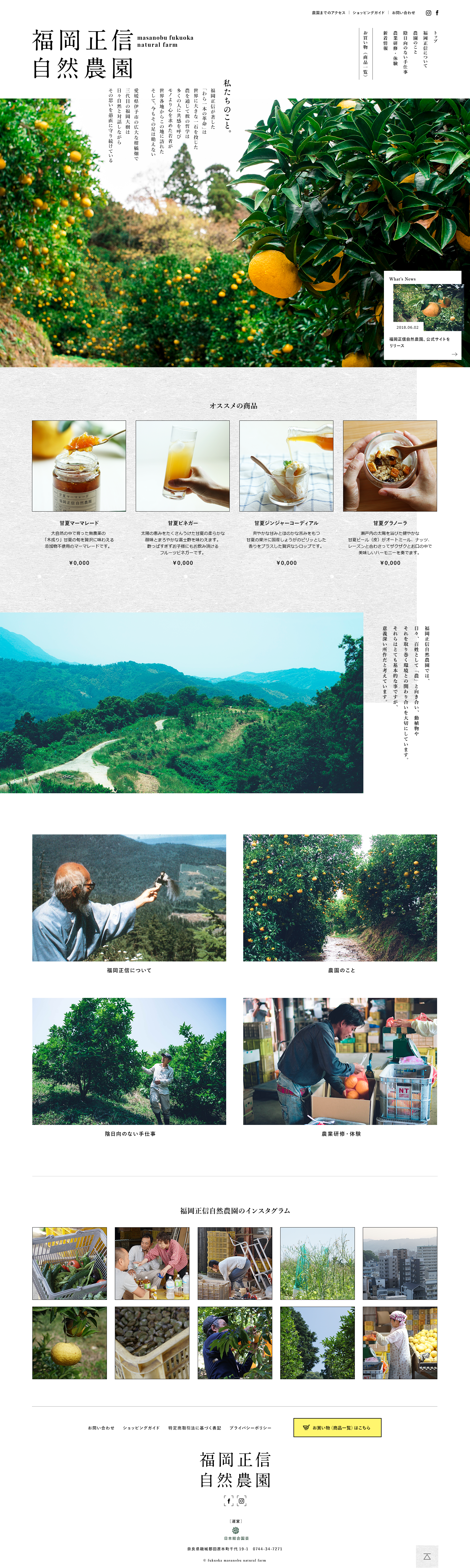 Image/photo